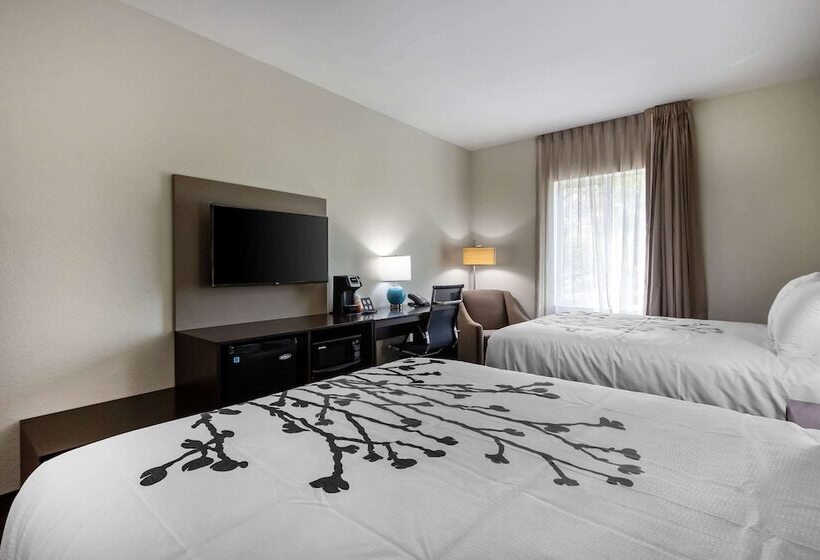 Номер Стандарт 2 Двуспальные Кровати, Sleep Inn & Suites Tampa South
