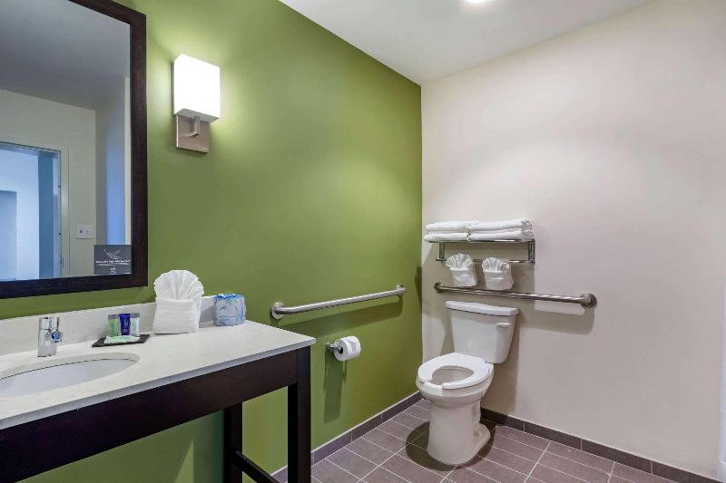 Люкс Кровать Кинг, Sleep Inn & Suites Tampa South