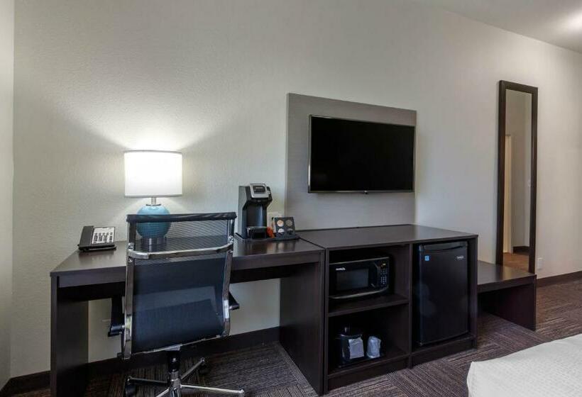 Стандартный Номер Кровать Кинг, Sleep Inn & Suites Tampa South