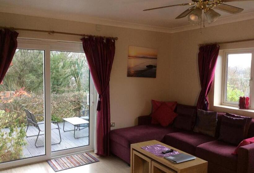 Апартаменты 1 Спальня, Cwmbach Guest House