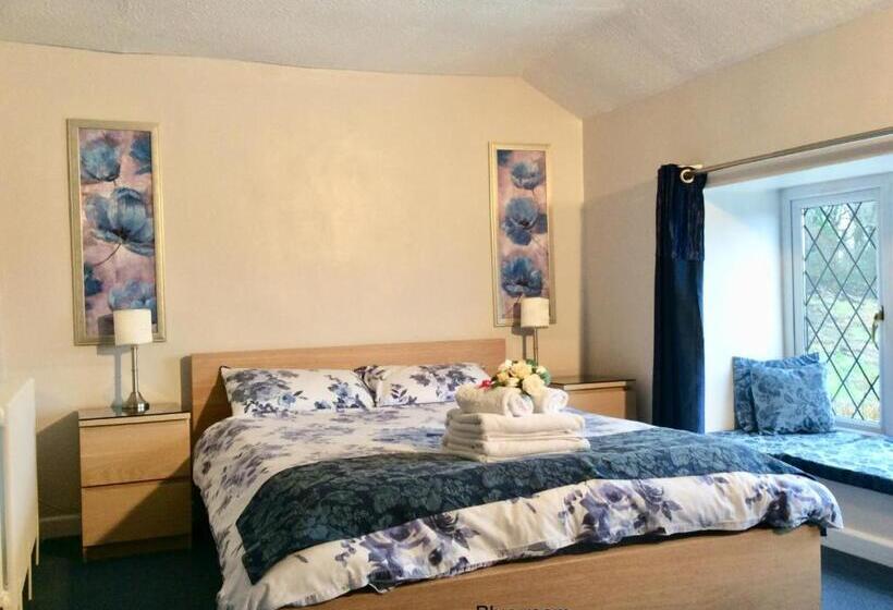 Апартаменты 1 Спальня, Cwmbach Guest House