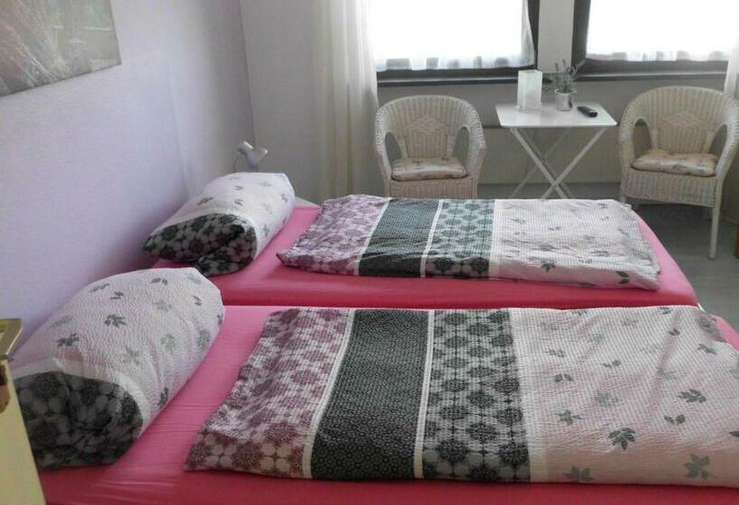 Номер Стандарт, Pension Sonnenschein