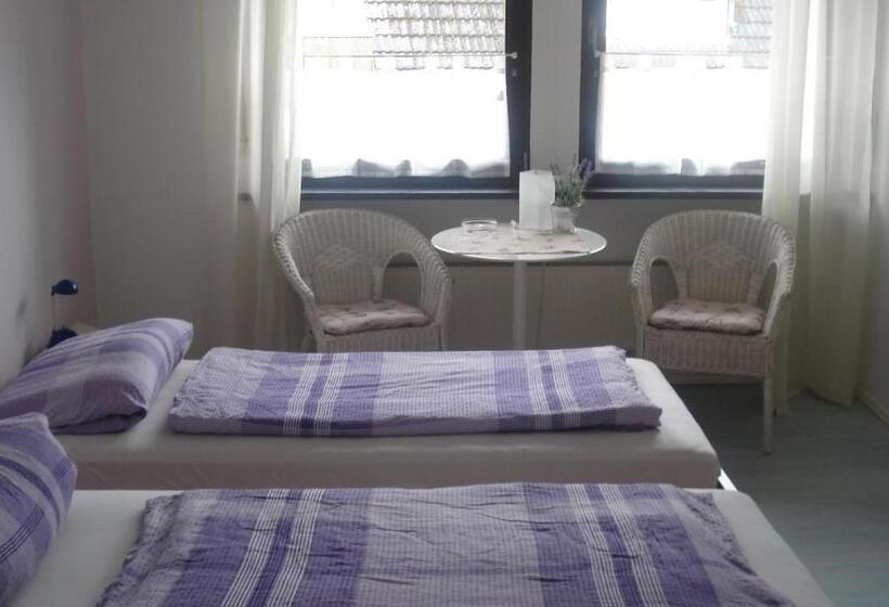 Номер Basic, Pension Sonnenschein