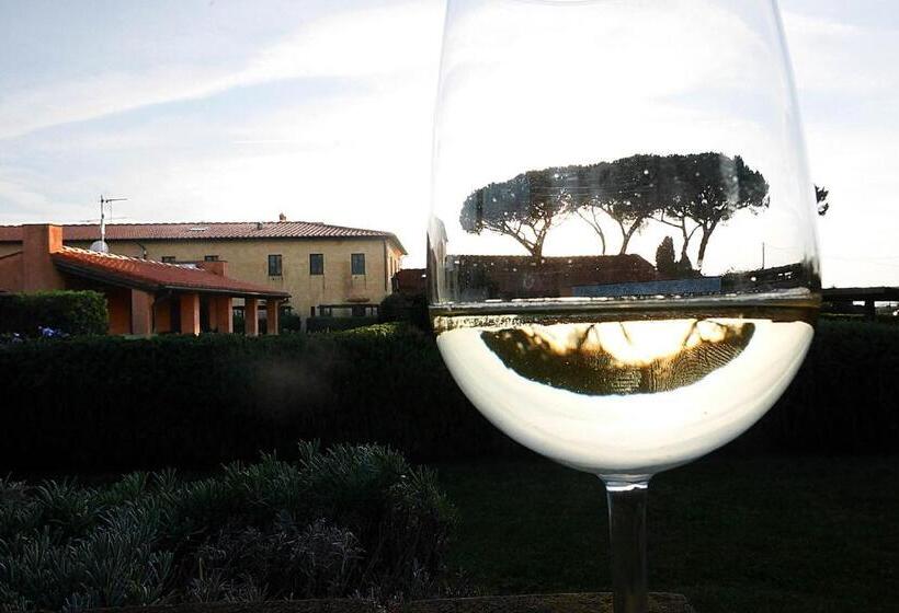 آپارتمان 2 خوابه, Podere San Giuseppe