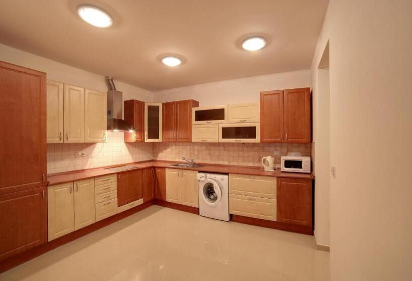 آپارتمان 1 خوابه, Slunecni Lazne Apartments