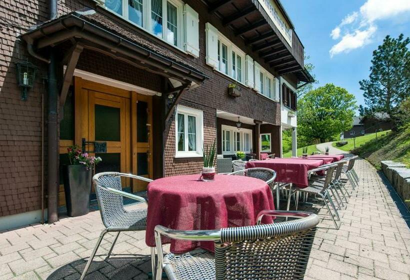 Номер Стандарт, Schwendi Lodge