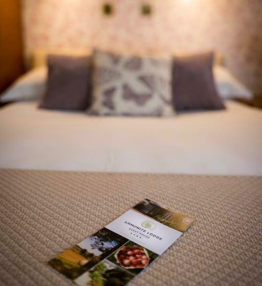 Номер Стандарт, Ammonite Lodge
