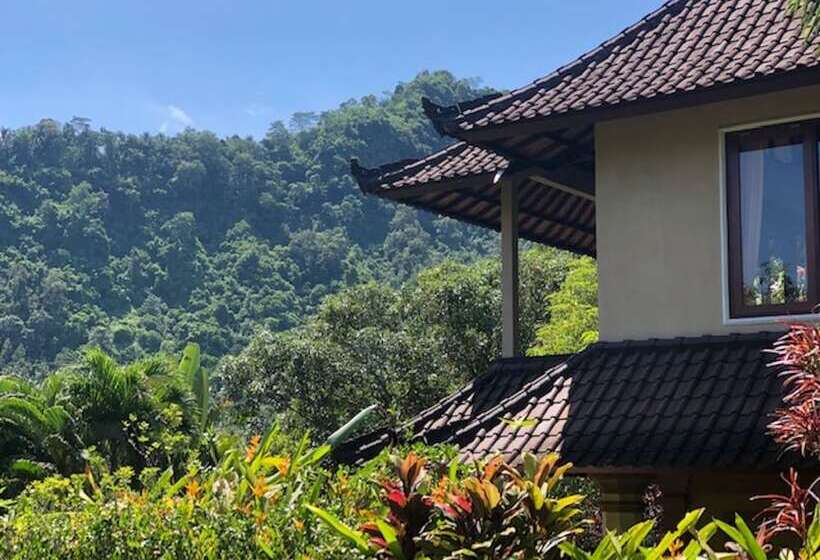 Номер Стандарт, Nirarta Center For Living Awareness