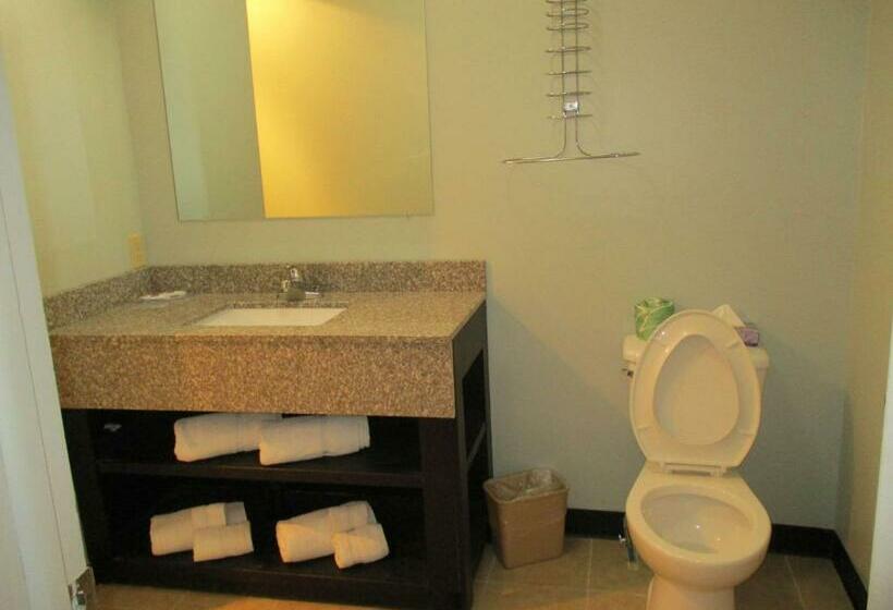 스탠다드 룸 킹사이즈 침대, Motel 6 Shartlesville, Pa