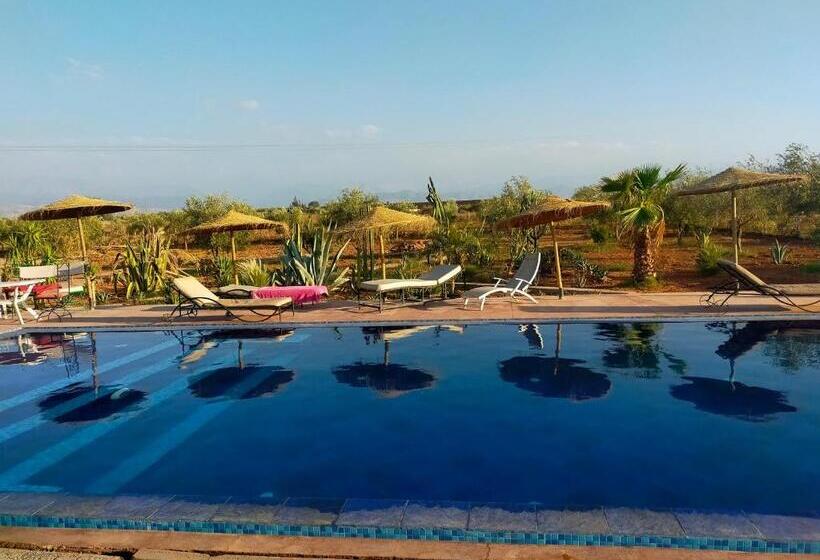Номер Стандарт, Chez Jm Saida
