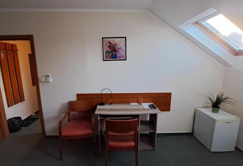 اتاق استاندارد, Penzion Aida Ostrava
