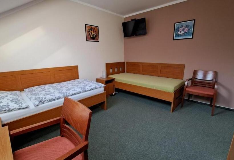 اتاق استاندارد سه نفره, Penzion Aida Ostrava