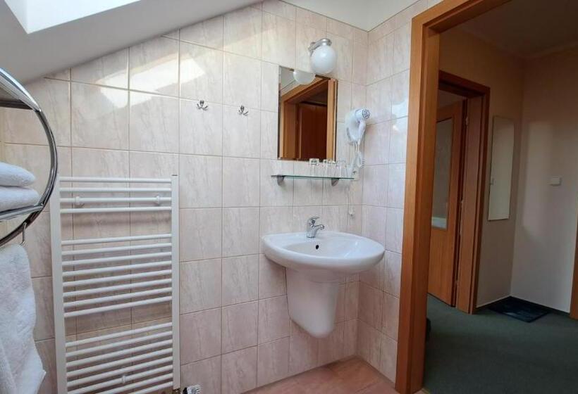 اتاق استاندارد سه نفره, Penzion Aida Ostrava