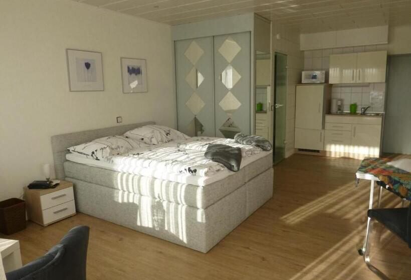 Студия Стандарт, Haus Delphin