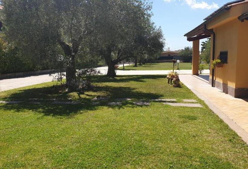 Номер Стандарт, L Antico Vigneto
