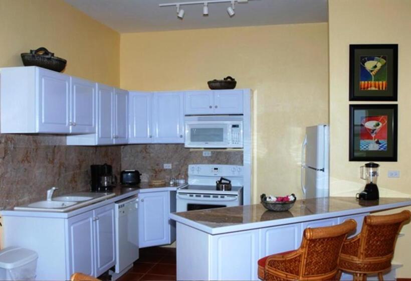 آپارتمان 1 خوابه, Ocean Terrace Condominiums