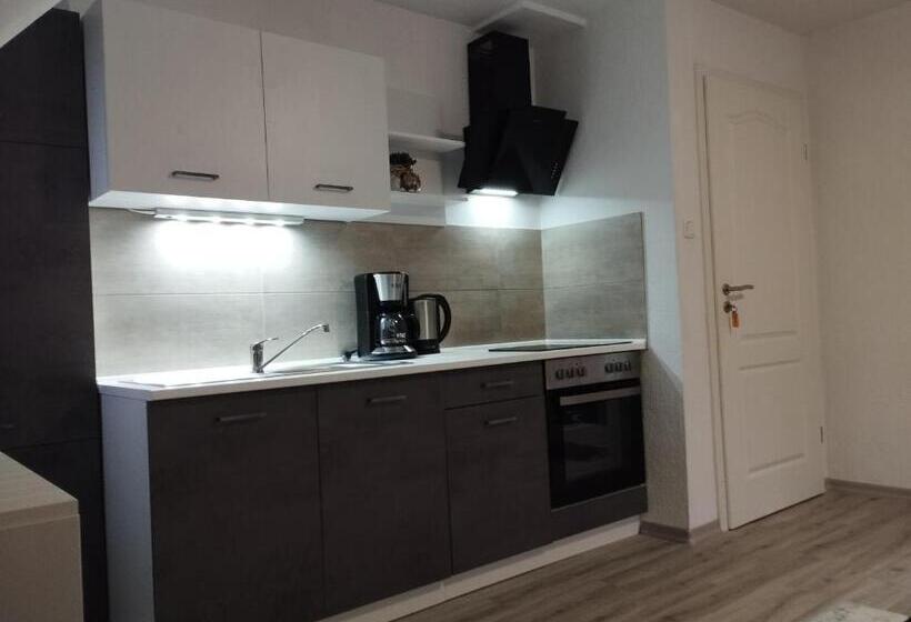شقة سوبريور غرفة واحدة, Harzpension Haus Königskopf