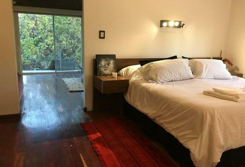 디럭스 스위트, Galería  Casa De Húespedes