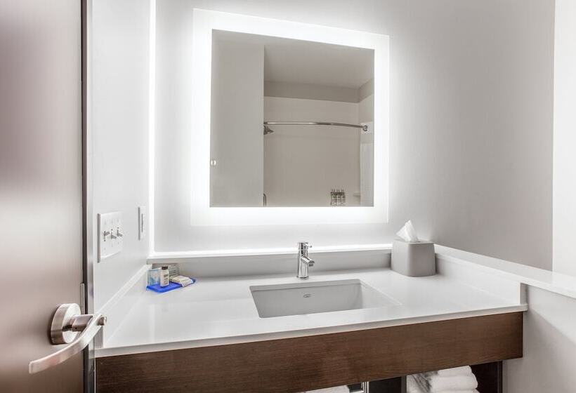 스탠다드 룸, Holiday Inn Express & Suites   Ottawa, An Ihg