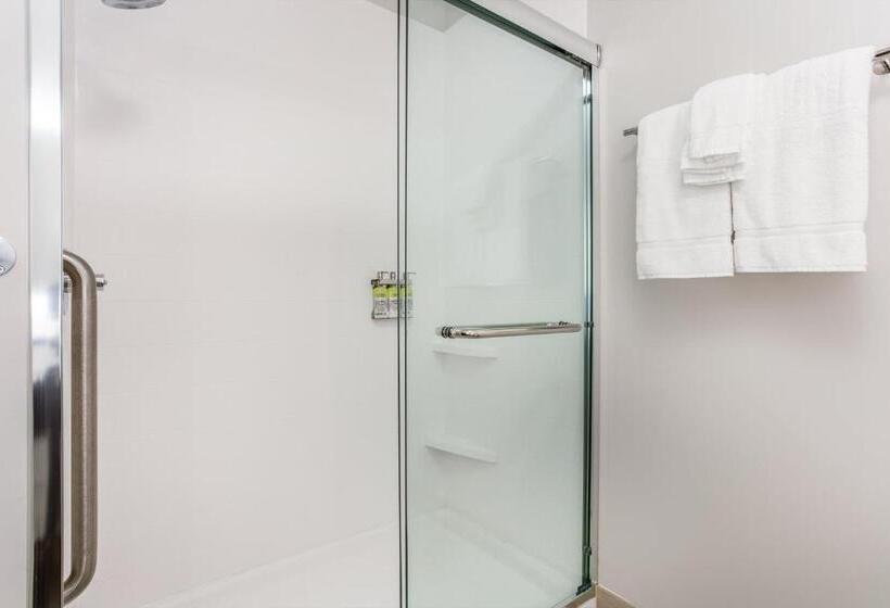 스위트 킹사이즈 침대, Holiday Inn Express & Suites   Ottawa, An Ihg