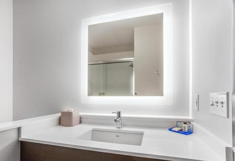장애인을 위한 킹사이즈 침대 스탠다드 룸, Holiday Inn Express & Suites   Ottawa, An Ihg