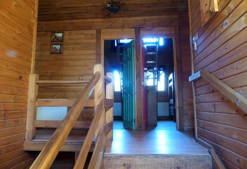 공동 객실, & Hostal Chil In, Las Trancas