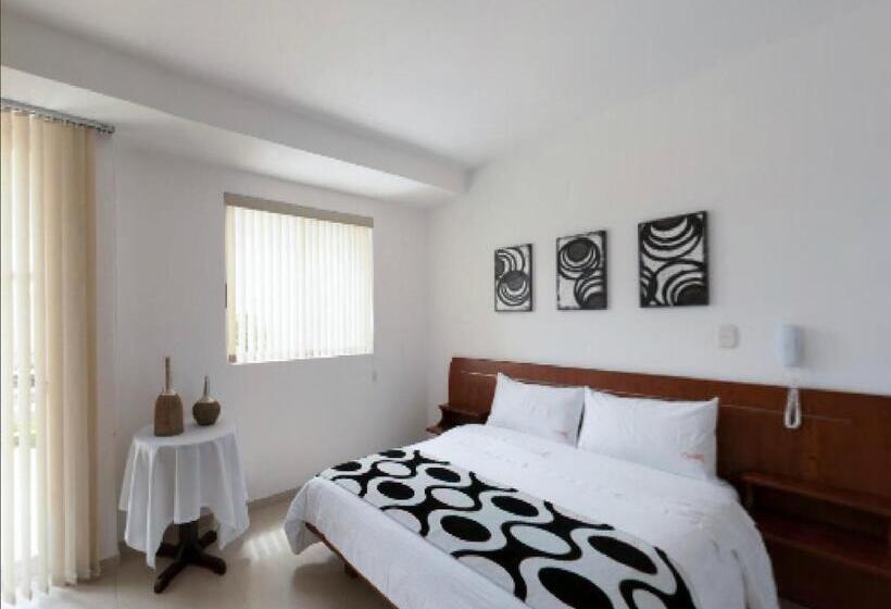 스탠다드 싱글 룸, Catama Inn