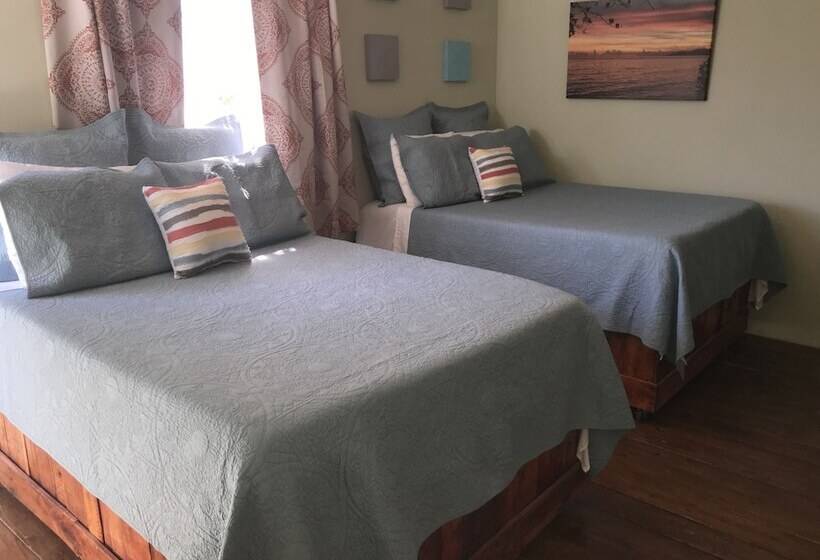 اتاق لوکس با چشم‌انداز دریا, The Vieques Guesthouse