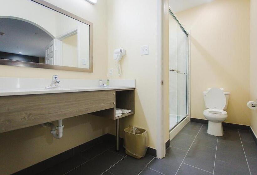 Стандартный Номер Кровать Кинг, Palace Inn Katy Ft. Bend