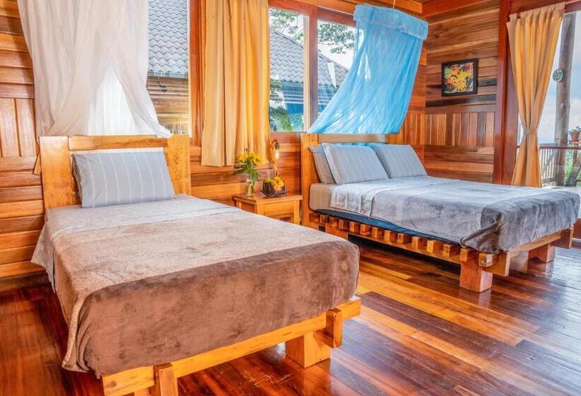 Номер Стандарт, Heimatlos Amazon Lodge