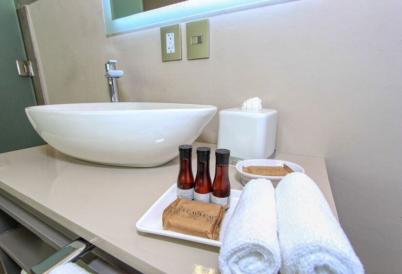 سوئیت پرزیدنت, Casa Florencia Hotel Boutique