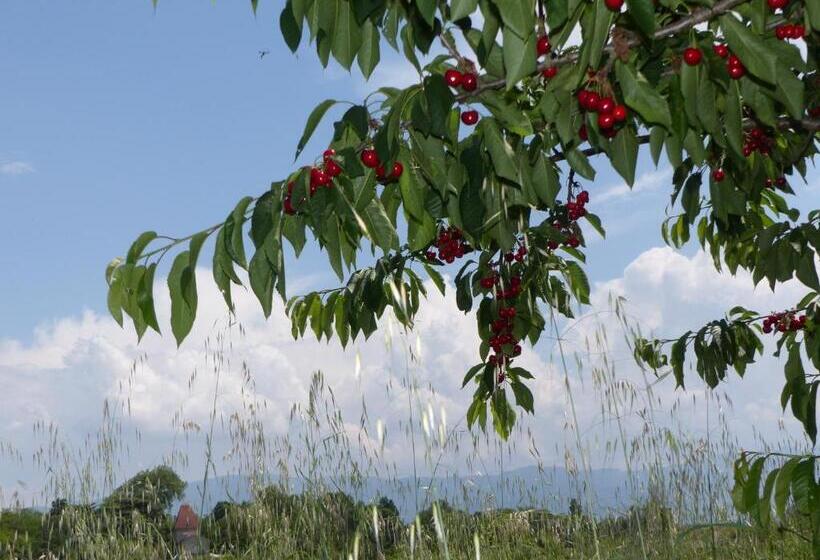 اتاق استاندارد برای معلولان, La Ferme De Chaleyre
