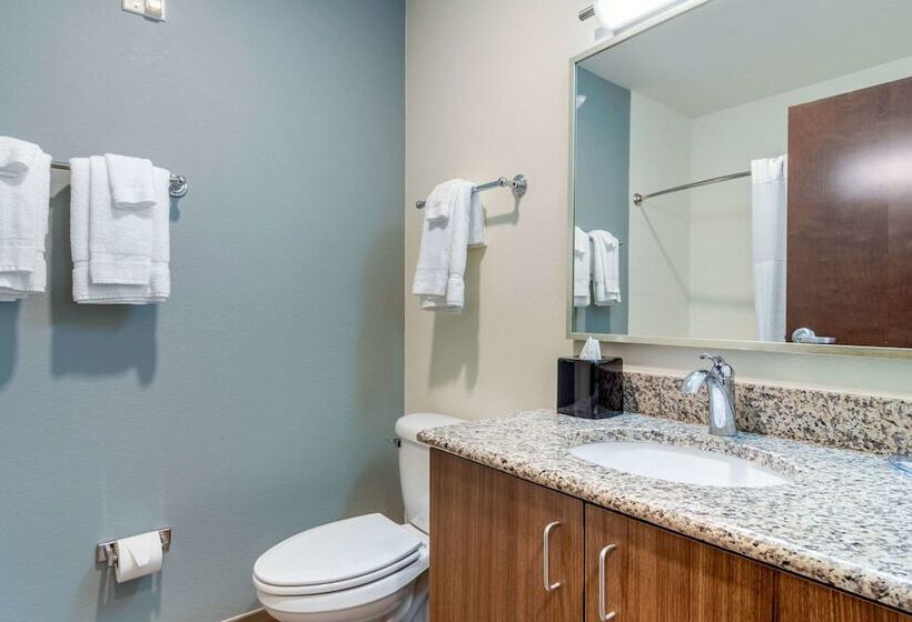 套房, Mainstay Suites Newnan Atlanta South