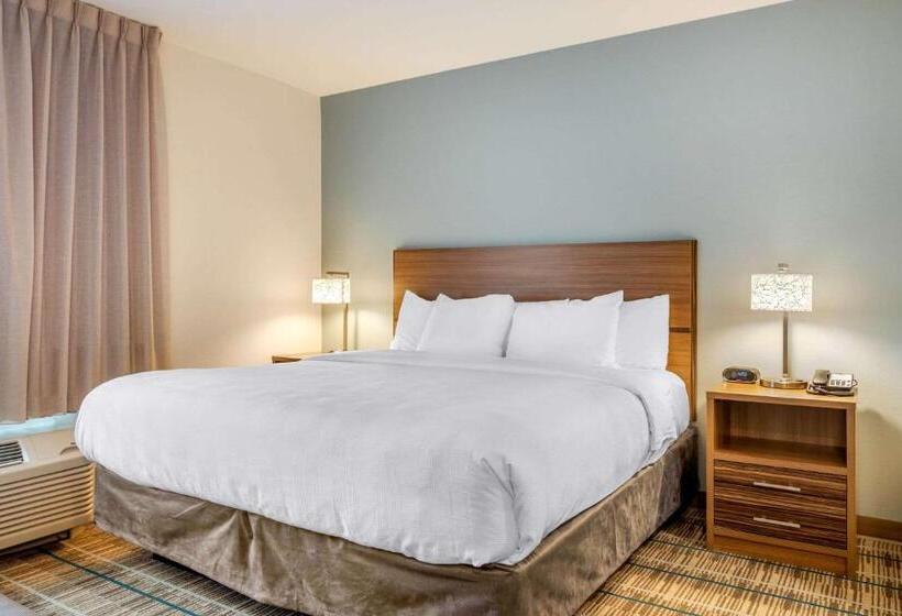 Люкс Кровать Кинг, Mainstay Suites Newnan Atlanta South