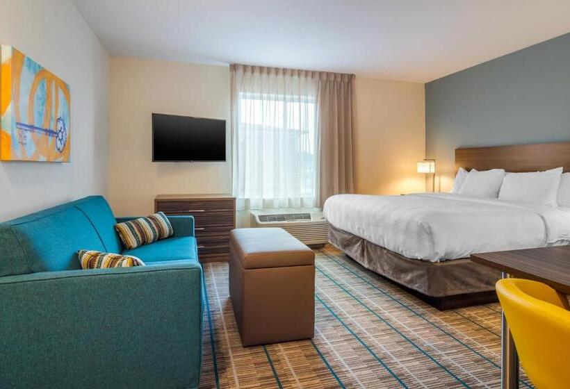 带大床的套房, Mainstay Suites Newnan Atlanta South