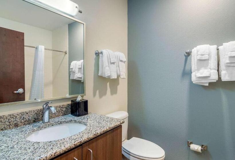 Люкс Кровать Кинг, Mainstay Suites Newnan Atlanta South