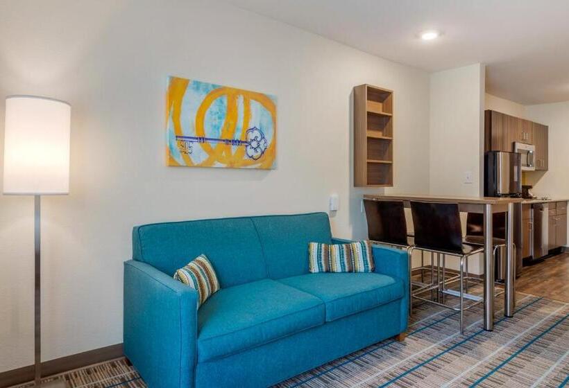 Люкс Адаптированный для Инвалидов, Mainstay Suites Newnan Atlanta South