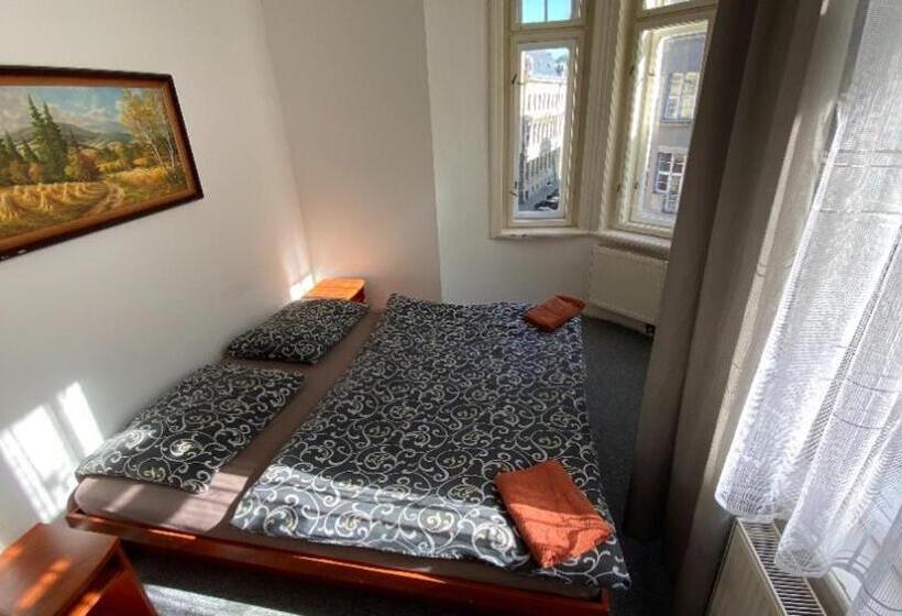 اتاق استاندارد با سرویس بهداشتی مشترک, U Betty   Ostrava Centrum