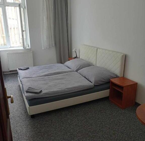 اتاق استاندارد با سرویس بهداشتی مشترک, U Betty   Ostrava Centrum