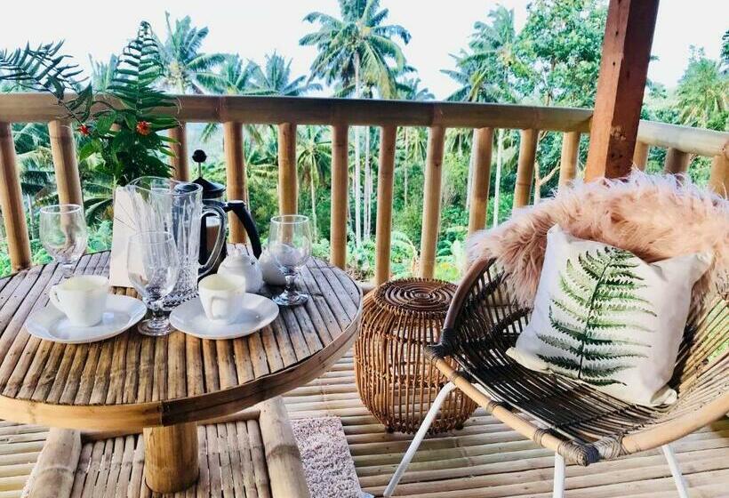Номер Стандарт, Bintana Sa Paraiso Binunsaran