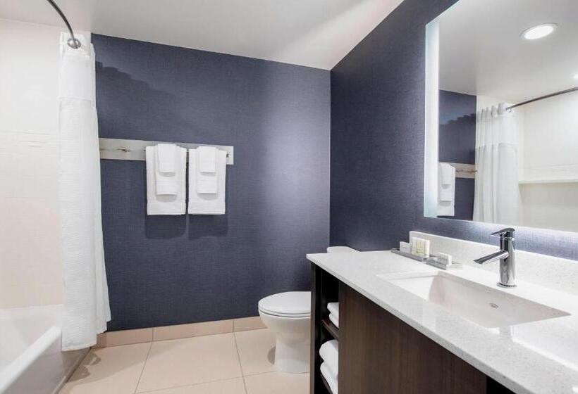 带大床的标准工作室, Residence Inn By Marriott Winnipeg