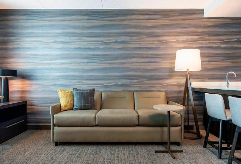 带大床的标准工作室, Residence Inn By Marriott Winnipeg