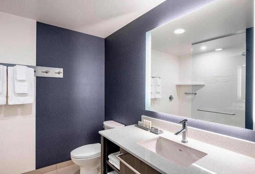 带大床的套房, Residence Inn By Marriott Winnipeg