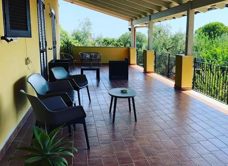 Номер Стандарт, B&b Verdeoliva