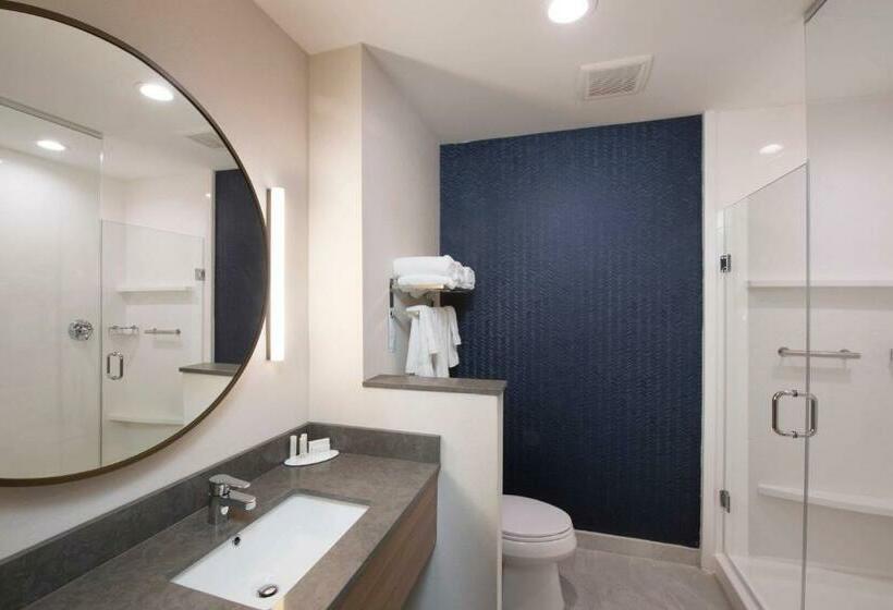 Стандартный Номер Кровать Кинг, Fairfield Inn & Suites By Marriott Tyler South