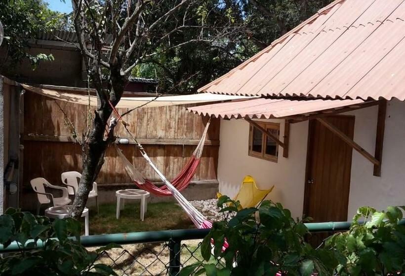 Номер Стандарт Совместная Ванная, Bed & Breakfast T.t