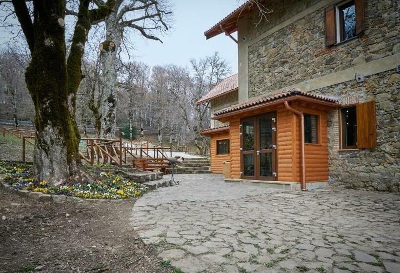 Номер Стандарт, Relais Villa Miraglia