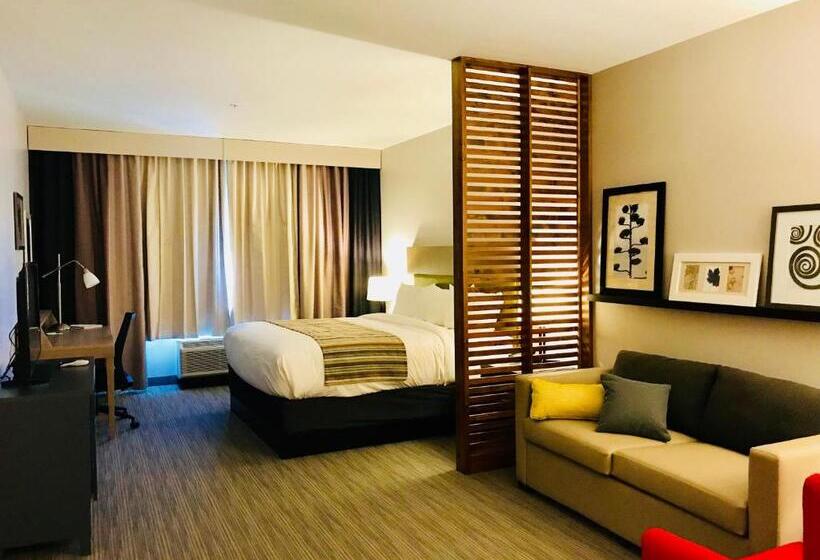 스위트 킹사이즈 침대, Country Inn & Suites By Radisson, Page, Az