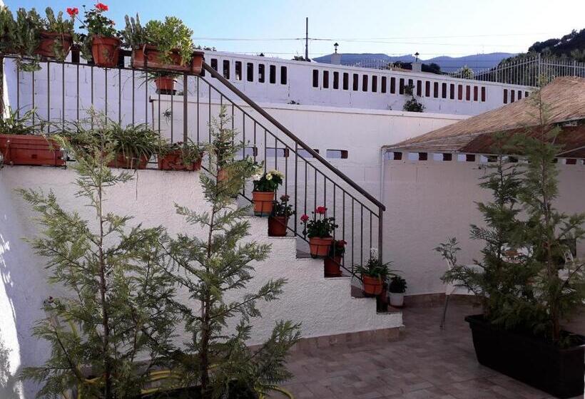 اتاق لوکس, Al Saliceto
