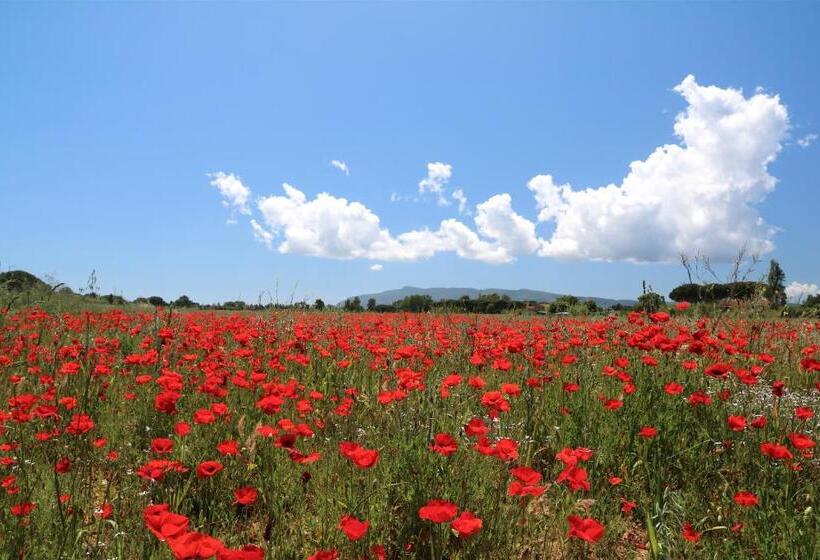 스탠다드 룸, Agriturismo La Facenda